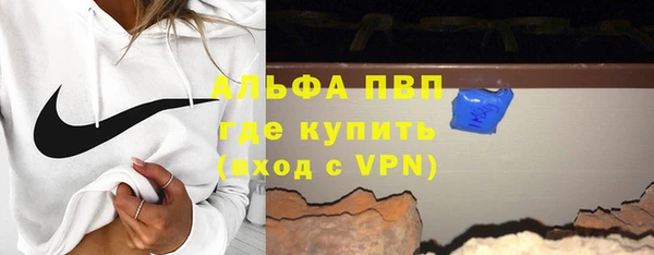 шишки Арсеньев