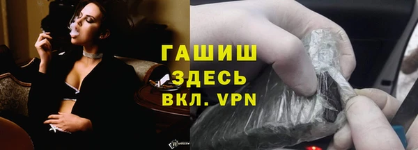 шишки Арсеньев