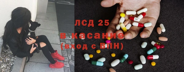 шишки Арсеньев