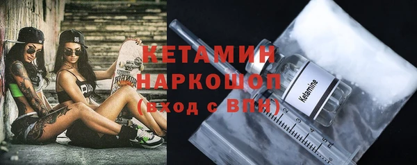 шишки Арсеньев