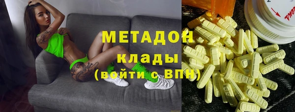 шишки Арсеньев