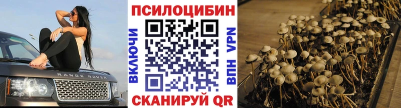 Галлюциногенные грибы Magic Shrooms  сколько стоит  shop состав  Рудня 